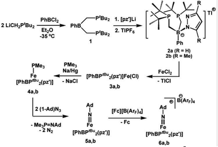 Scheme 1