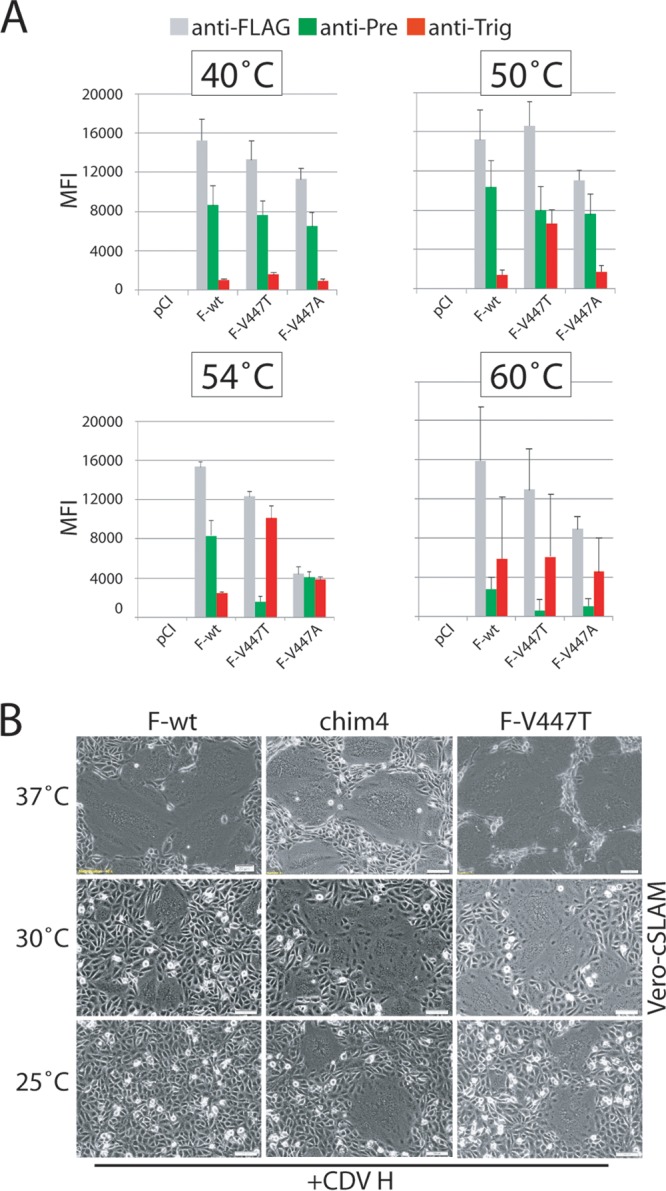 FIG 4