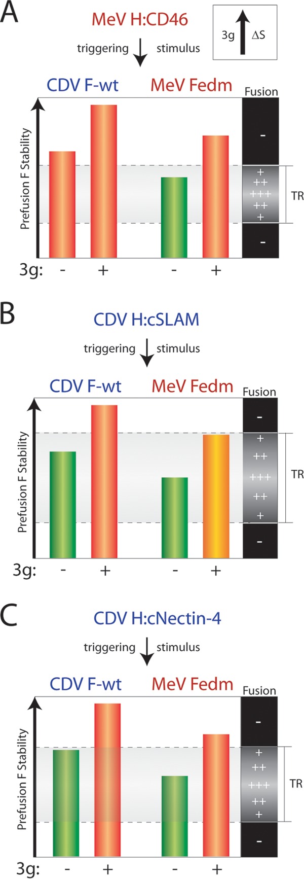 FIG 11