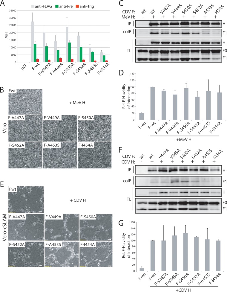 FIG 3