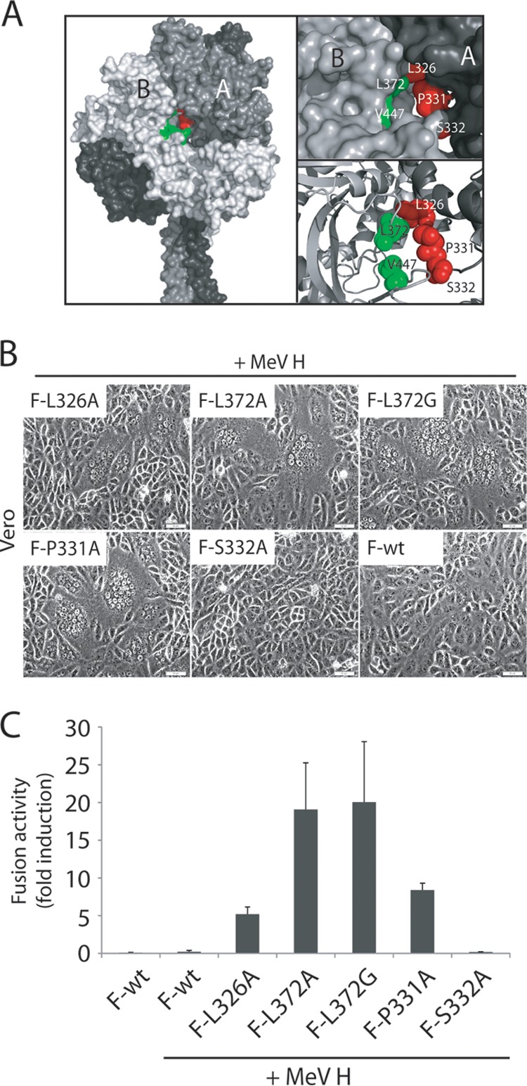 FIG 6