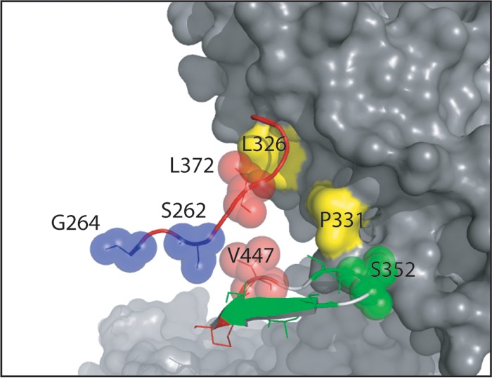 FIG 12