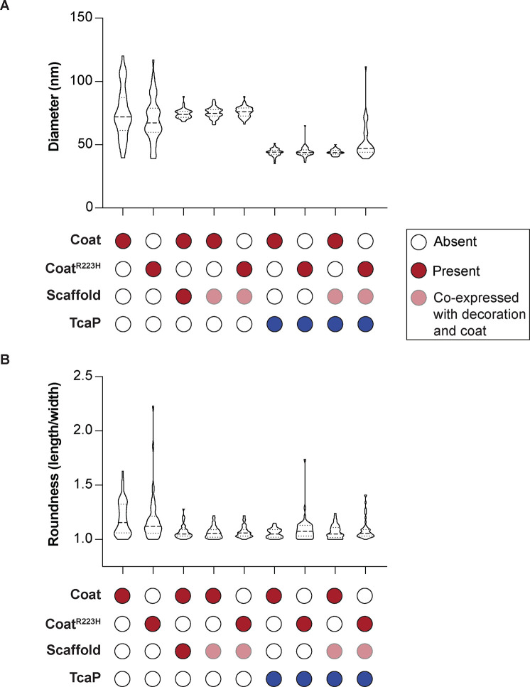 Figure 3—figure supplement 1.