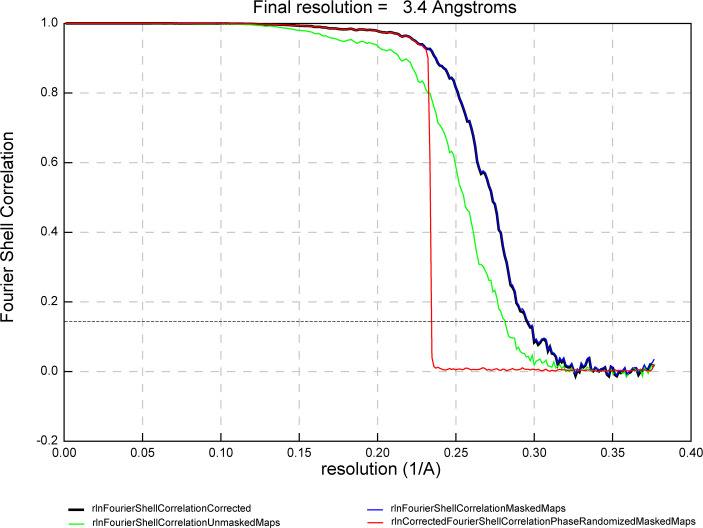 Figure 4—figure supplement 1.