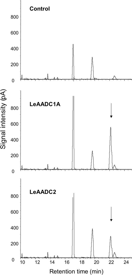 Fig. 3.