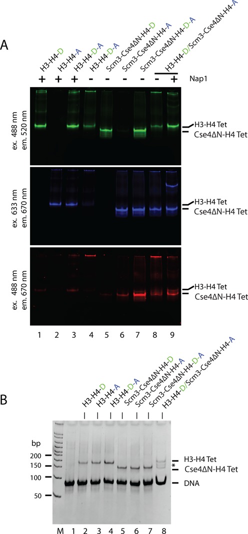 Figure 4.