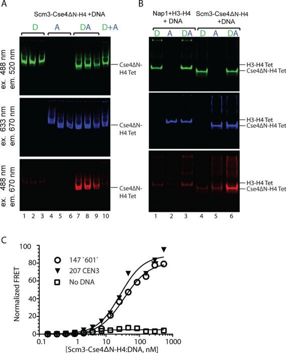 Figure 2.