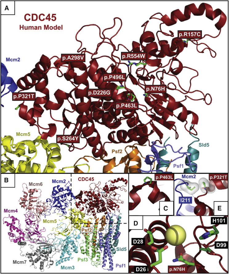 Figure 4