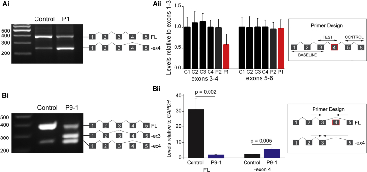 Figure 5