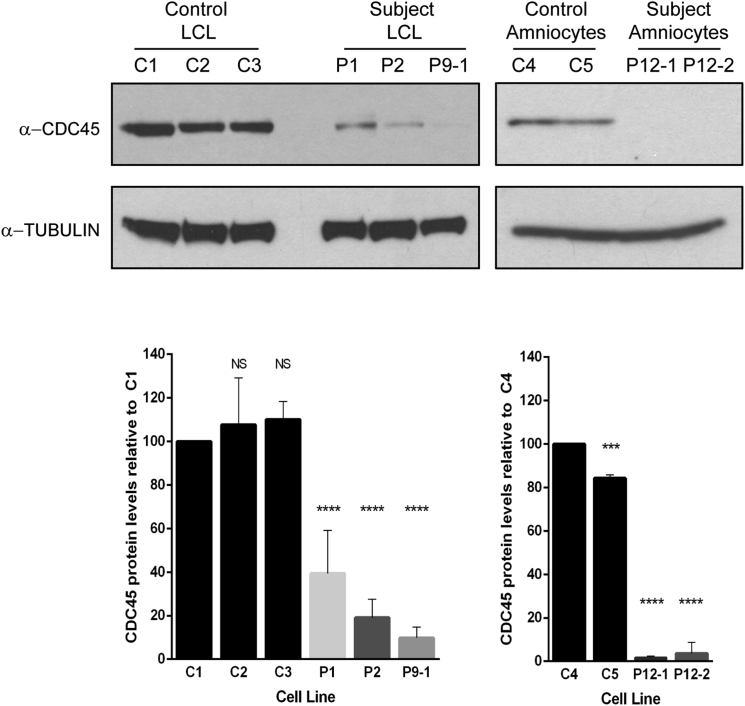 Figure 6