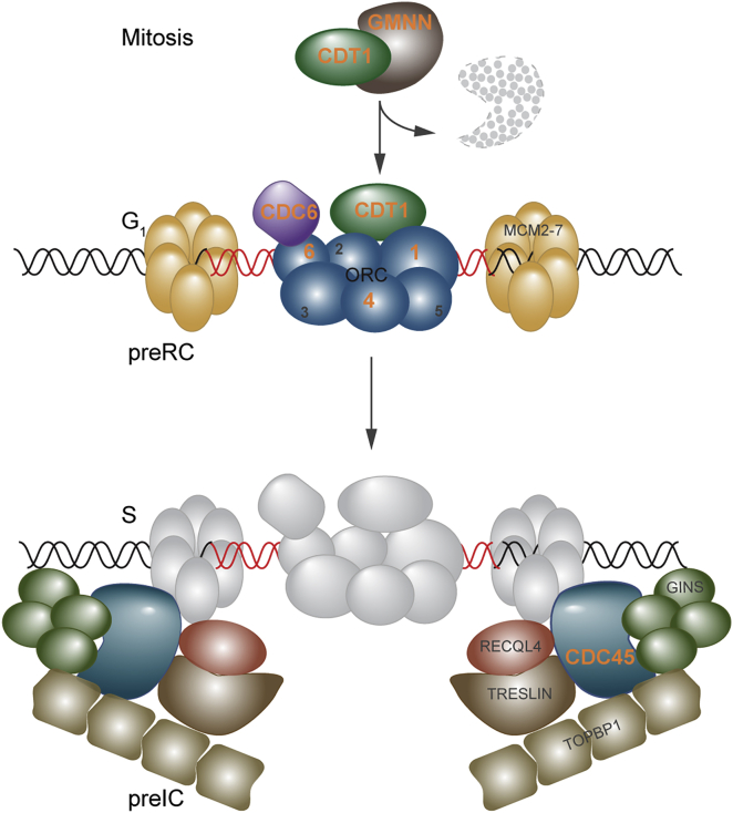 Figure 1