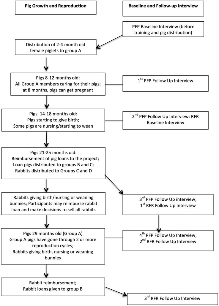 Figure 2