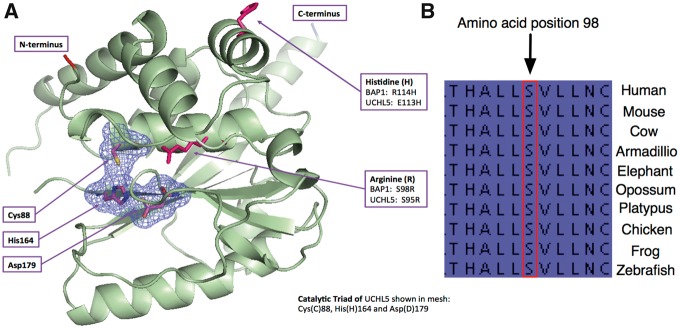 Figure 2.