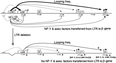 Fig. 6.