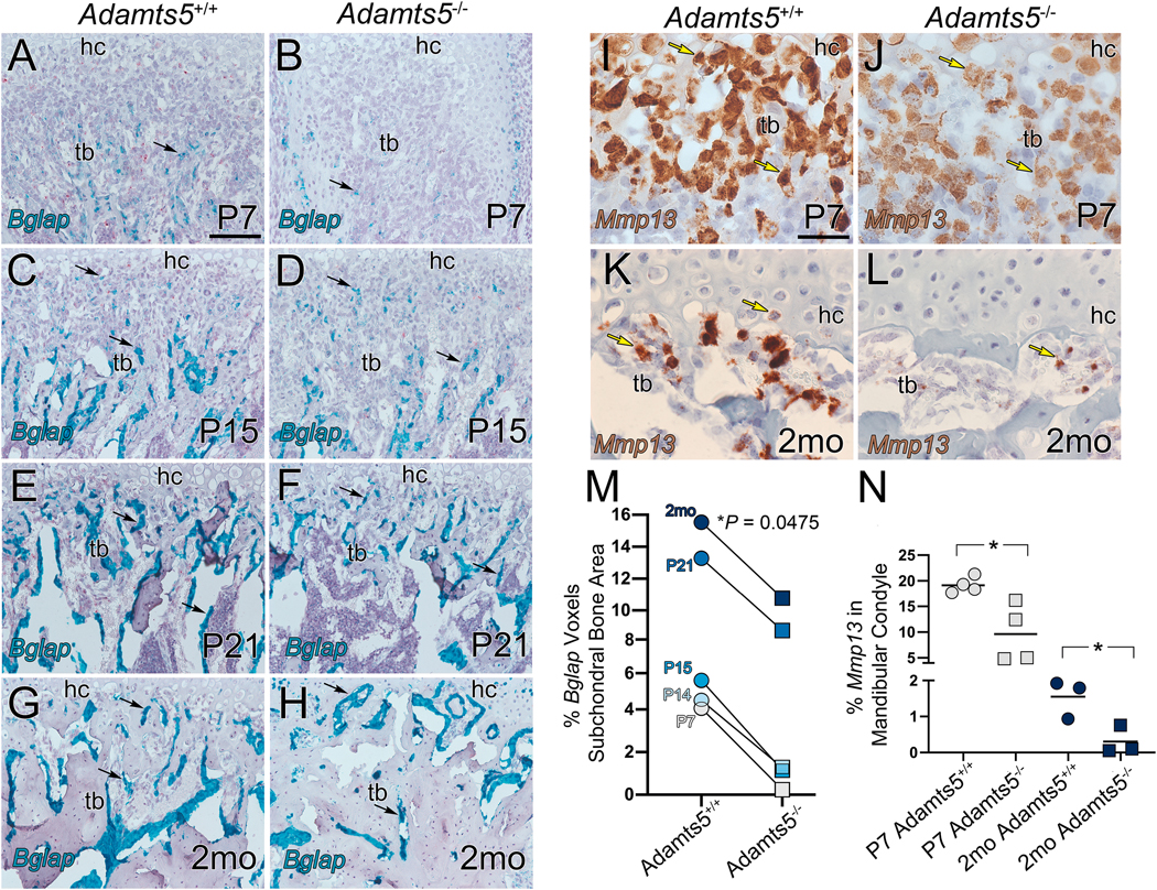 Figure 4: