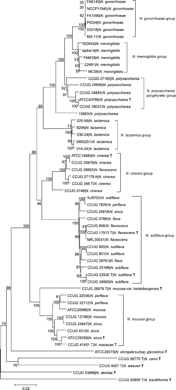 Fig. 3. 