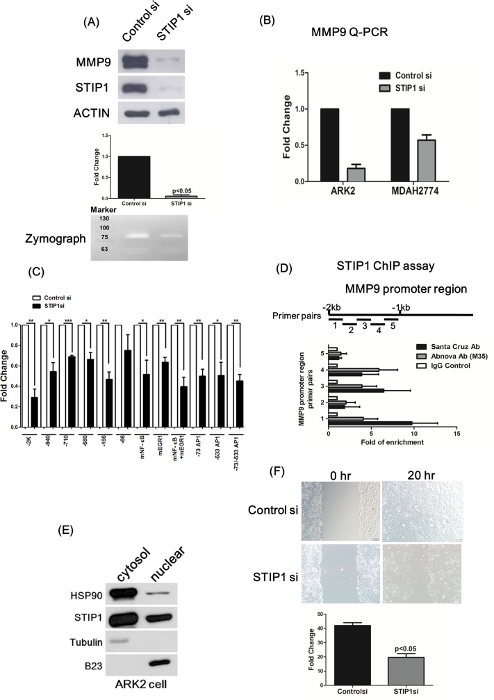 Fig 2