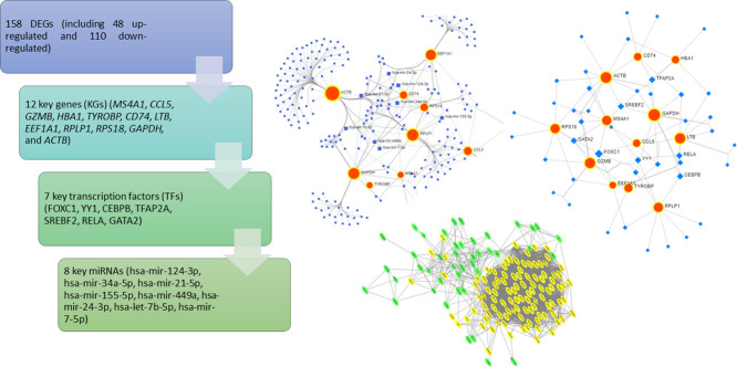 Image, graphical abstract