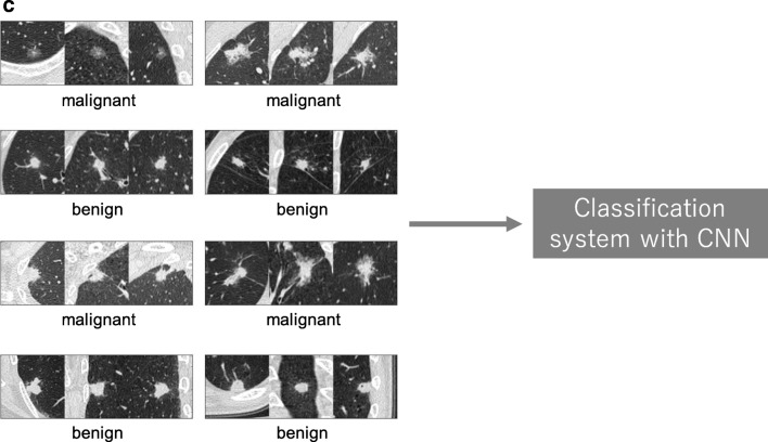 Fig. 11