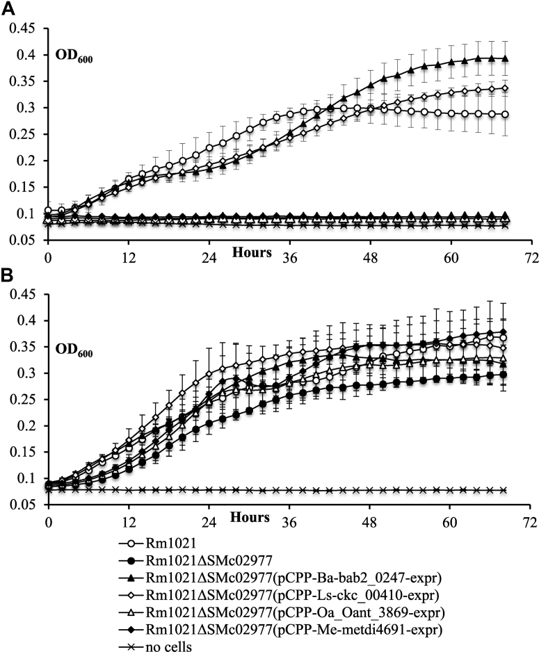 Figure 2