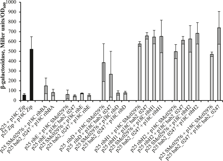 Figure 4