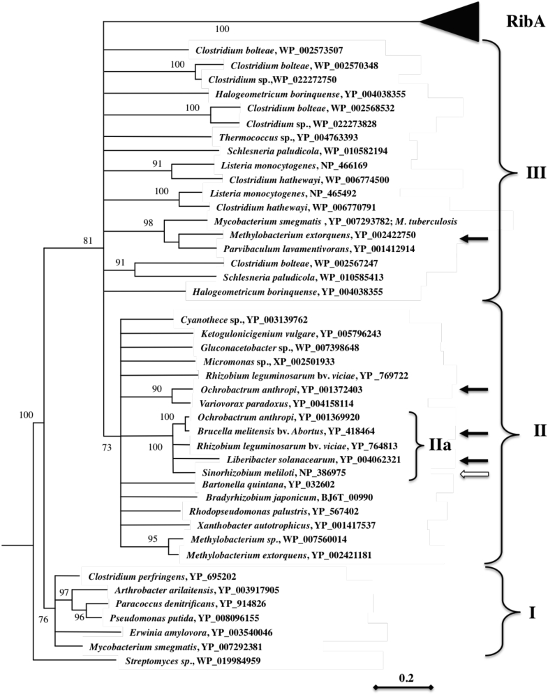 Figure 3