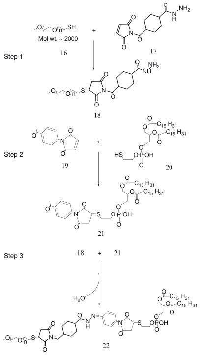 Scheme 9