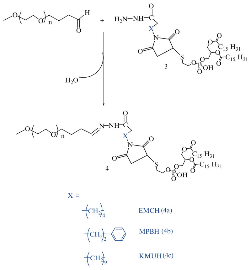 Scheme 4