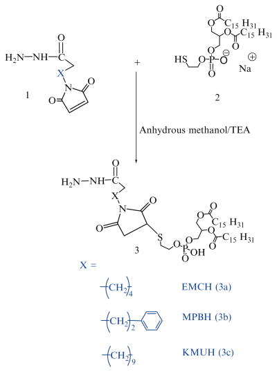 Scheme 1