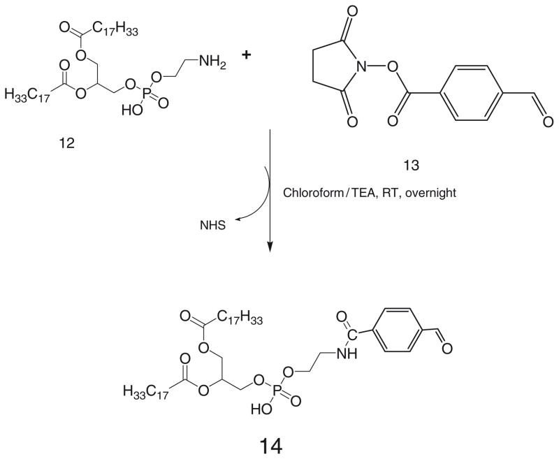 Scheme 7