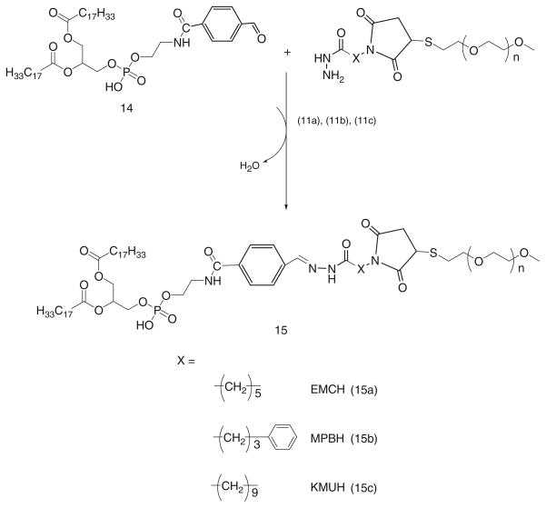 Scheme 8