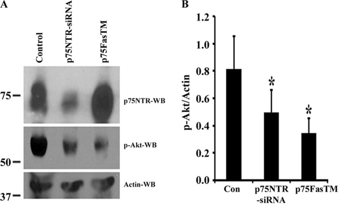 FIGURE 10.