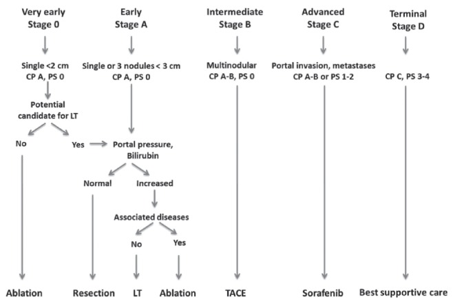 Figure 3)