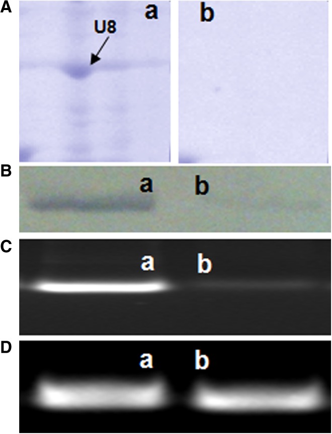 FIG. 8.