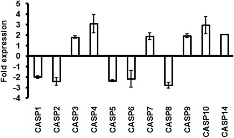 FIG. 5.