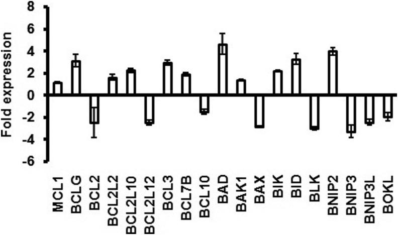 FIG. 6.