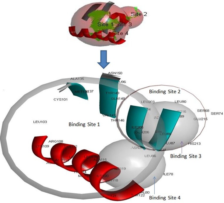 Fig. 10