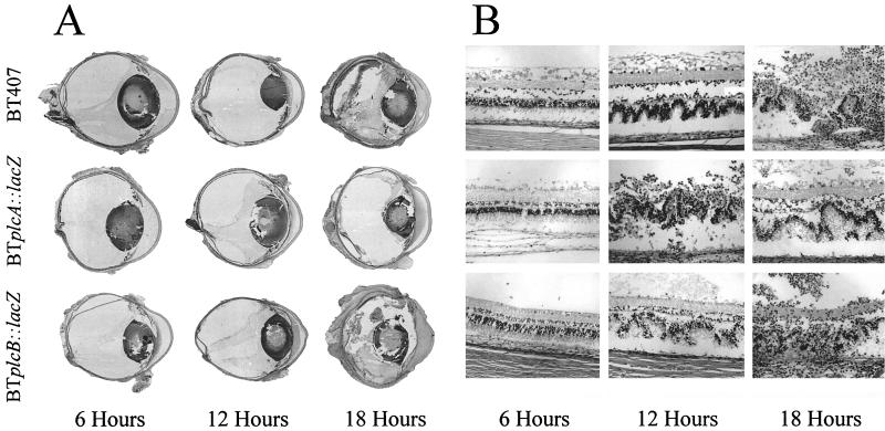 FIG. 7.