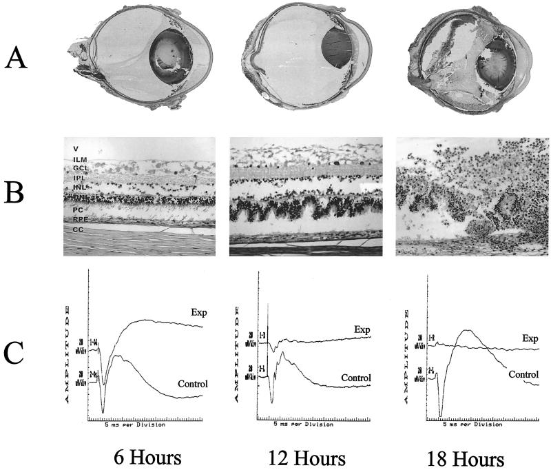 FIG. 4.