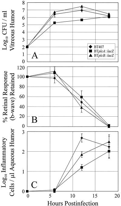 FIG. 5.