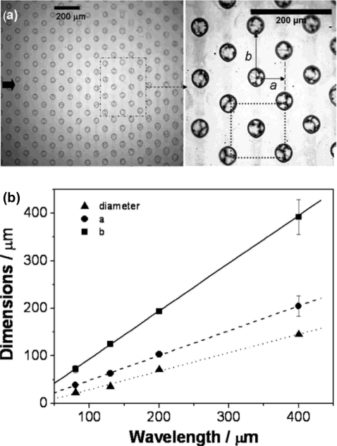 Figure 20