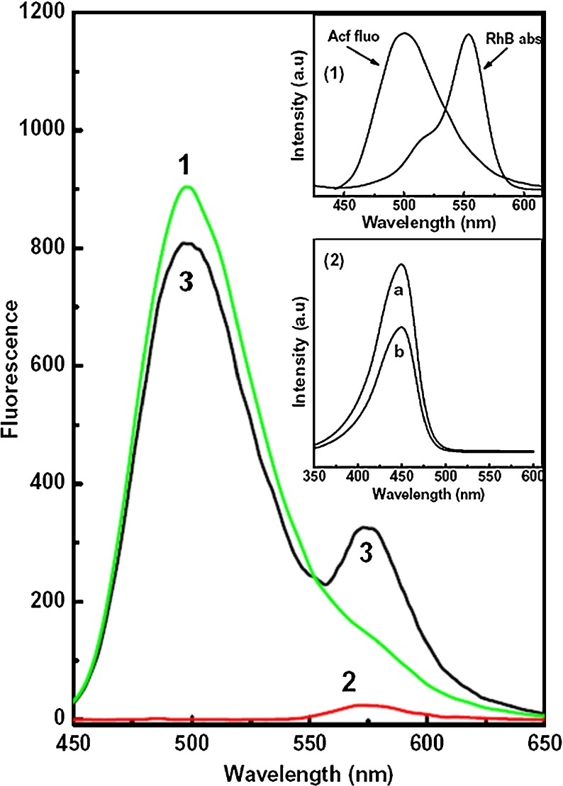 Fig. 1