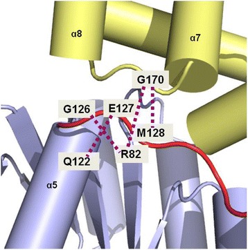 Fig. 7