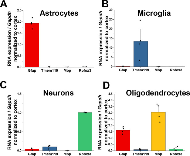 Figure 1—figure supplement 1.