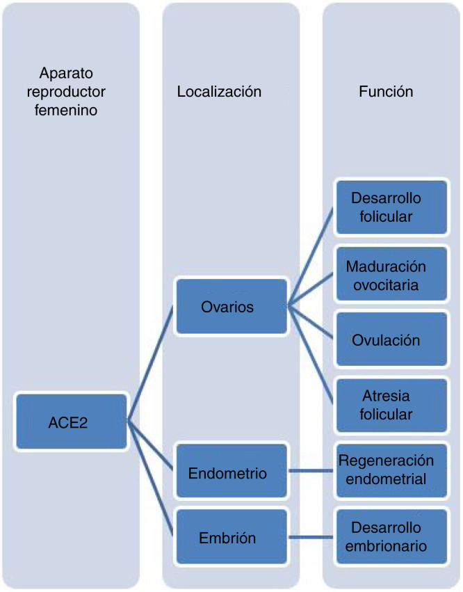 Figura 1