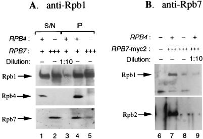 FIG. 5