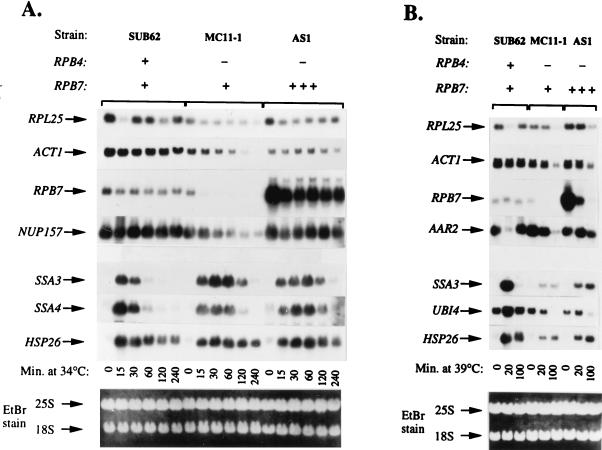 FIG. 7