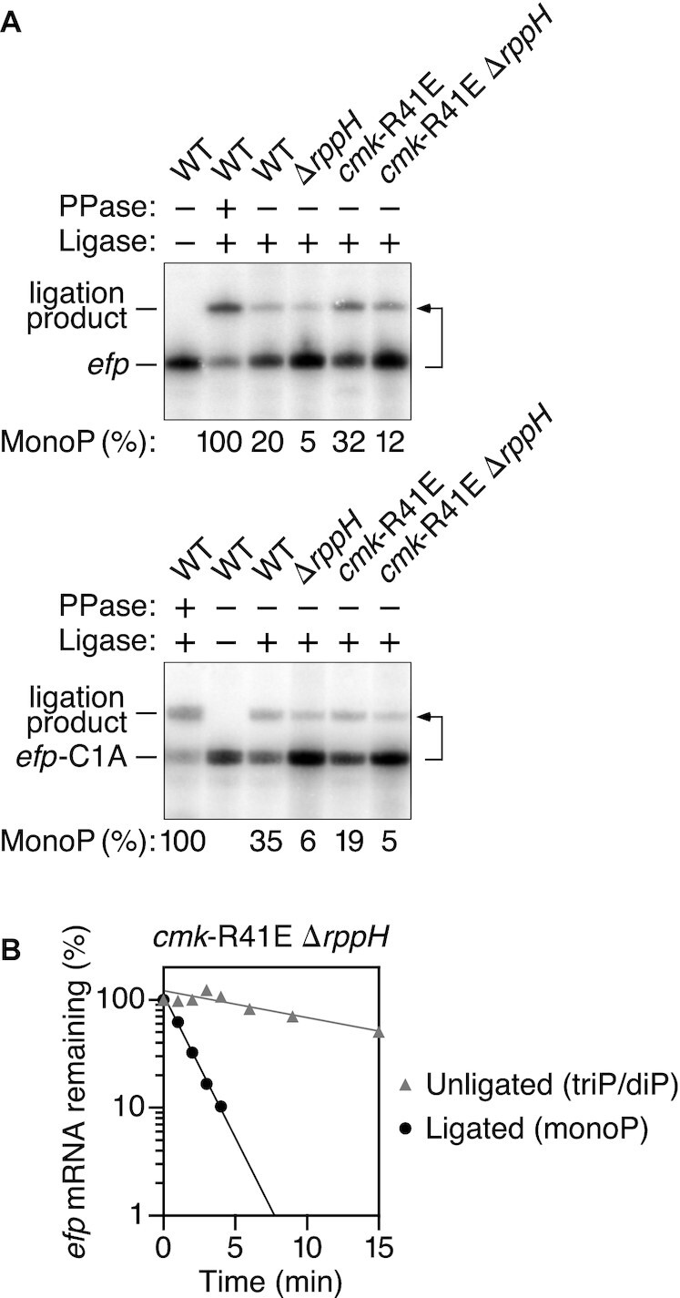 Figure 6.