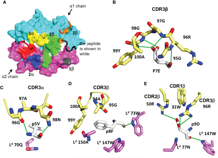 Figure 3