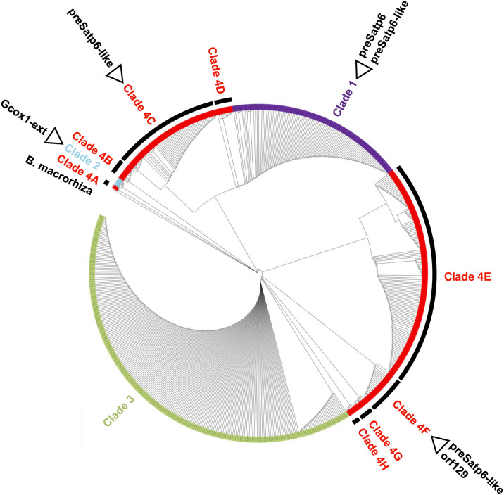 Fig 5